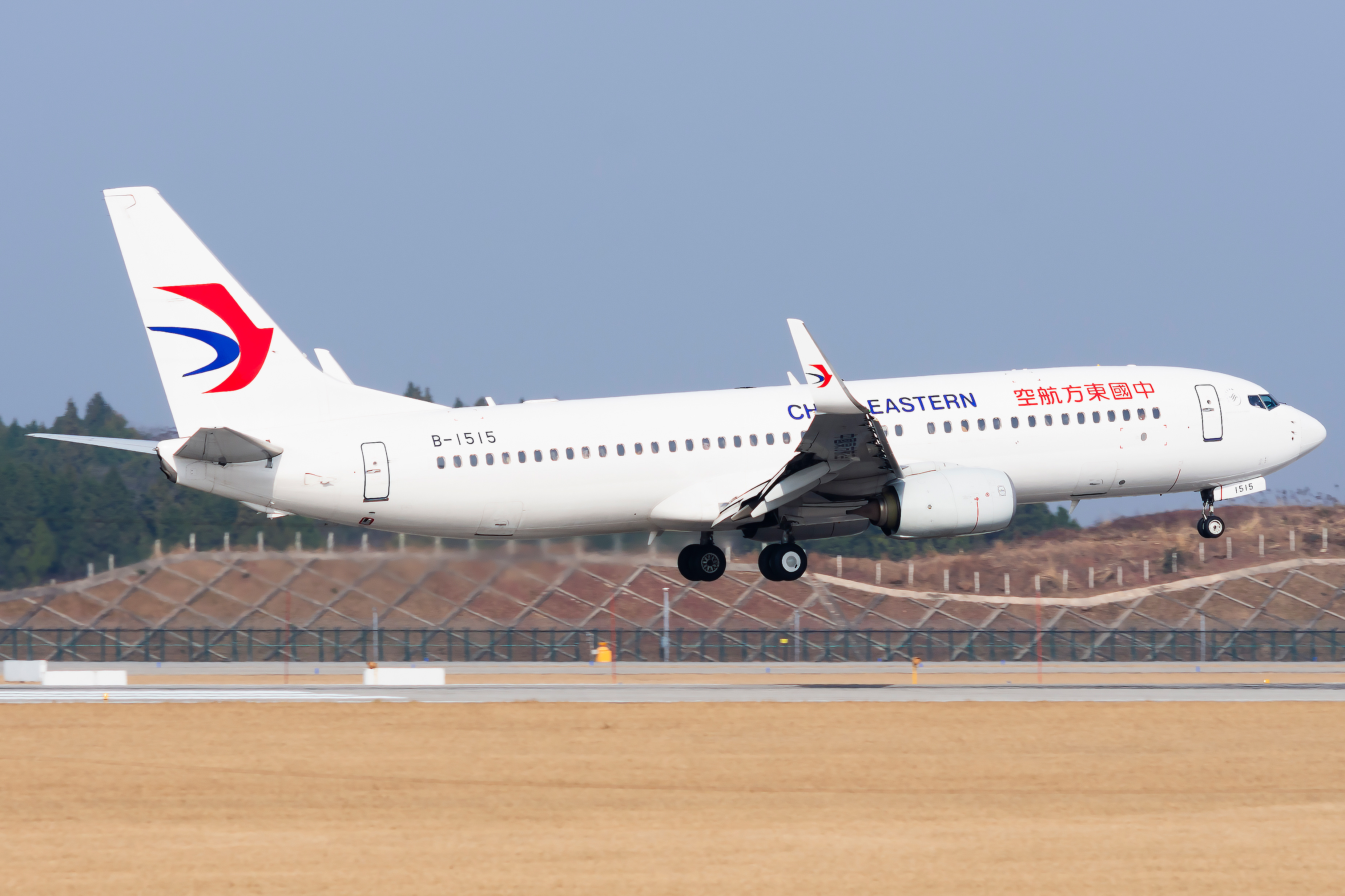 为的作品起个名字…