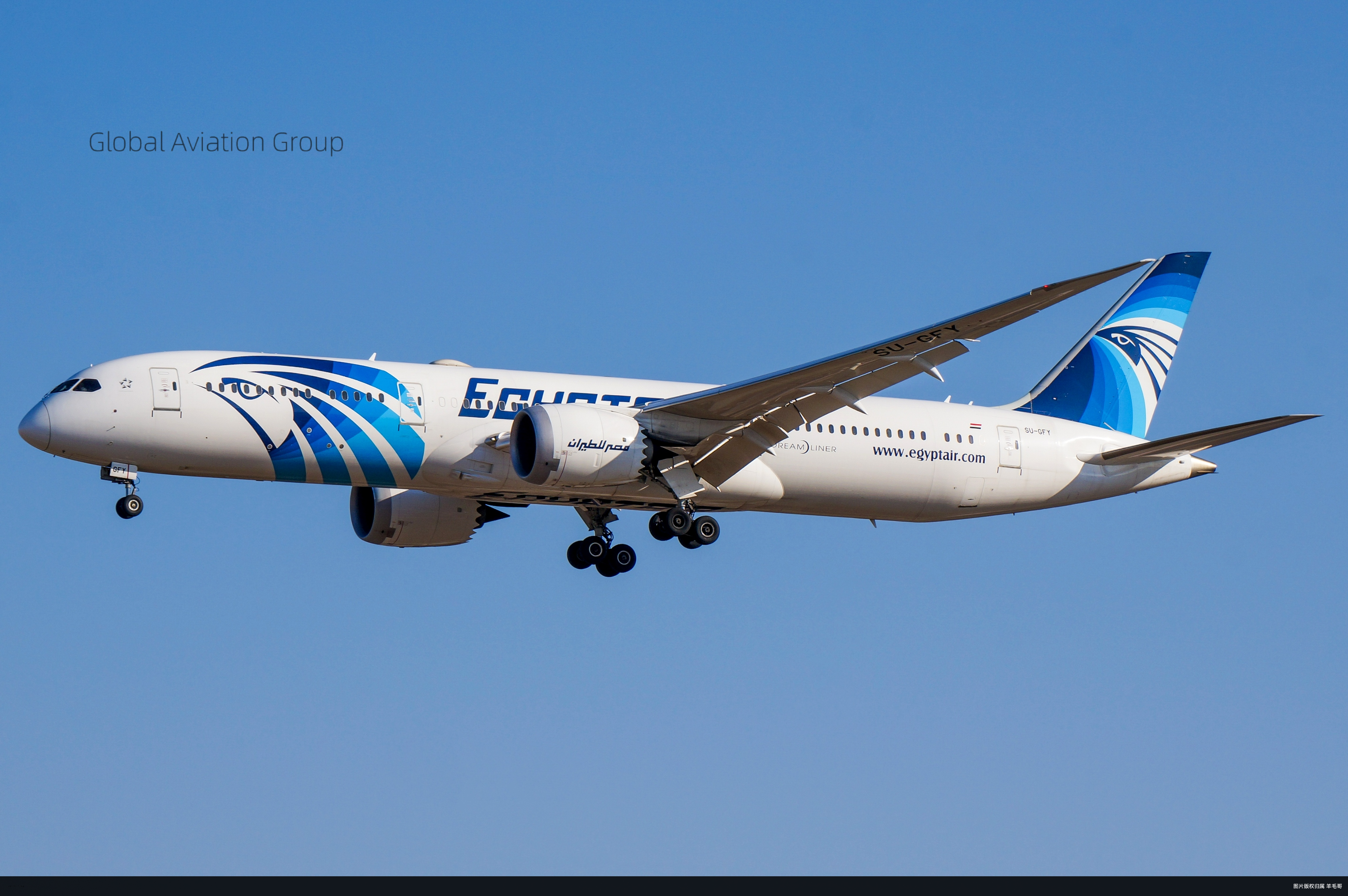 总有人不远万里为你而来