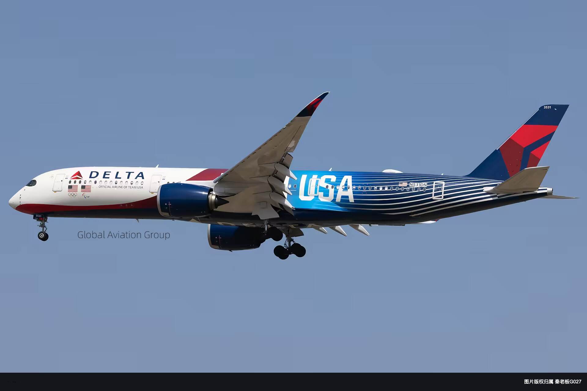 达美TEAM USA彩绘