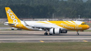 拉遮光板的朋友