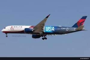 达美TEAM USA彩绘