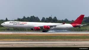G-ECLN